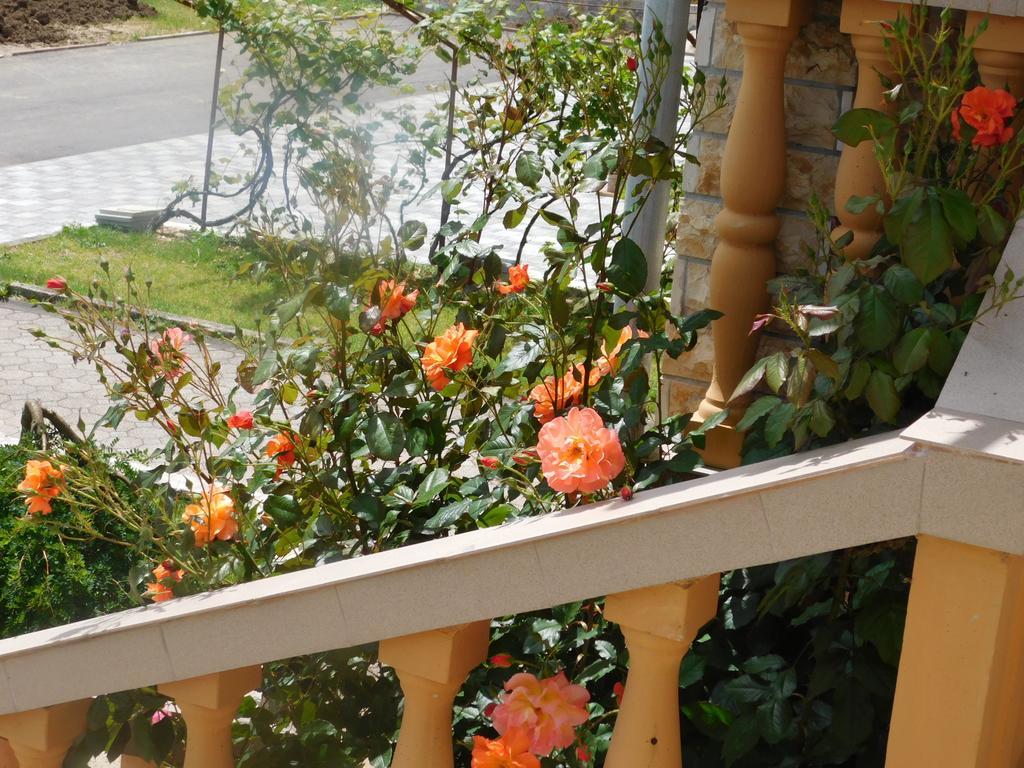 Guesthouse Sara Grabovac Kültér fotó